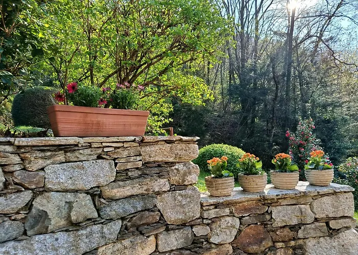 Cascina Nel Bosco